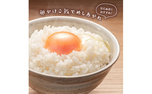 発送イメージ