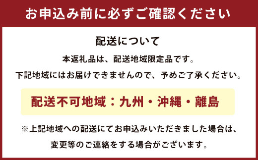 大玉 メロン 青肉 赤肉 4～5玉 詰合せ セット （1玉 1.7kg以上） 