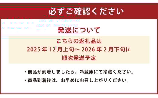 絢音ベリー農園 "絢" いちご 500g(250g× 2パック)ゆうべに 熊本県産 高級 フルーツ ギフト 厳選 希少