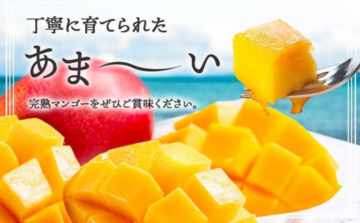 鹿児島県与論町のふるさと納税 【2025年発送】先行予約☆完熟アーウィンマンゴー 2.0kg（4～5個）南の島ヨロンから田畑農園がお届け！〔数量限定〕 | マンゴー 完熟マンゴー 2㎏ 2025年7月上旬以降発送 与論島 美味しい 限定 田畑農園