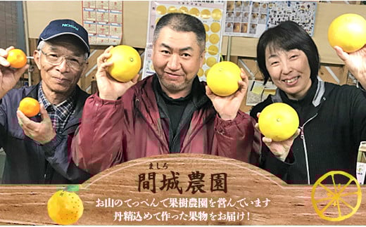 高知県香南市のふるさと納税 文旦５ｋｇ 大玉 高知 家庭用 高知 高知県 土佐文旦 (2L～4Lサイズ) 高知 先行予約 期間限定 間城農園 - 柑橘類 果物 くだもの フルーツ ぶんたん ブンタン おいしい 送料無料 高知県 香南市 ms-0079