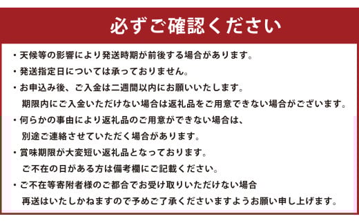 絢音ベリー農園 "絢" いちご 500g(250g× 2パック)ゆうべに 熊本県産 高級 フルーツ ギフト 厳選 希少