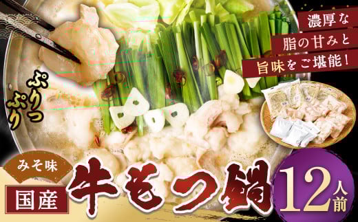 国産牛もつ鍋12人前 ちゃんぽん 濃縮スープ付（みそ味） もつ ホルモン 鍋 お鍋 セット 冷凍 岡垣町 2071189 - 福岡県岡垣町