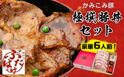 豚丼のぶたはげ「極撰豚丼セット6人前」【1205705】