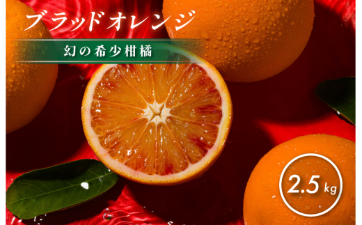 【先行予約】【数量限定】ホリ田ヤ ブラッドオレンジ 2.5kg【K002440】 1954352 - 愛媛県今治市