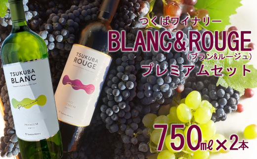 つくばワイナリー TSUKUBA BLANC & ROUGE プレミアムセット  【お酒 葡萄 ぶどう ブドウ 茨城県産 つくば市産 ワイナリー】
