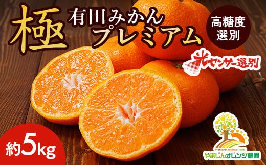 ＼光センサー選別／極 有田みかんプレミアム 約5kg【光センサー 高糖度選別品】2S～Mの小玉サイズ 有機質肥料100% | 光センサー選別 温州みかん みかん 高糖度 柑橘 果物 フルーツ 甘い ※2025年11月下旬～2026年1月上旬頃に順次発送予定  ※北海道・沖縄・離島への配送不可