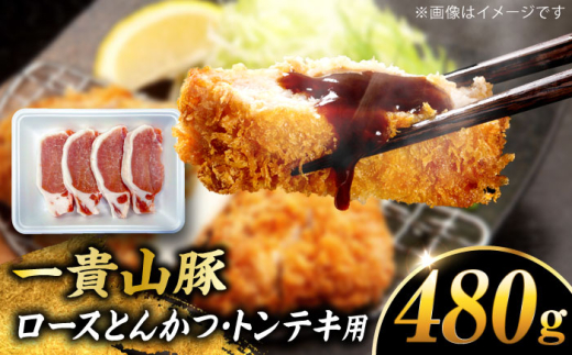 【冷凍】一貴山豚 ロースとんかつ・トンテキ用 計480g(120g×4枚) 糸島市 / いきさん牧場 豚肉 冷凍 [AGB030] 2009913 - 福岡県糸島市
