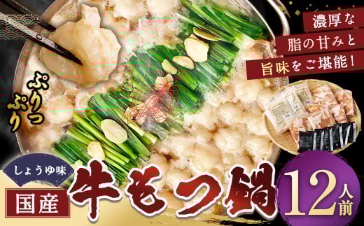 国産牛もつ鍋12人前 ちゃんぽん 濃縮スープ付（醤油味） もつ ホルモン 鍋 お鍋 セット 冷凍 岡垣町 2071188 - 福岡県岡垣町
