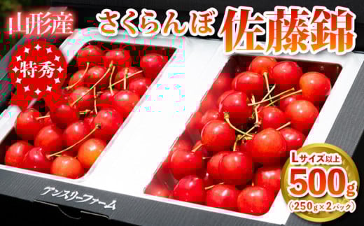  山形県産 さくらんぼ「佐藤錦」500g 特秀品 Lサイズ以上 【令和7年産先行予約】FS24-805