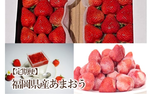 【2026年先行予約】【3回定期便】あまおう贅沢セットNo2(生、冷凍、レアチーズ)【044-0068】