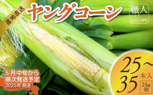 【2025年5月中旬から発送】「ヤングコーン」25～35本入り 2kg箱 ㈱アグリ甲斐（山梨県市川三郷町産）  [5839-2217]
