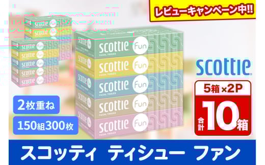 ティッシュペーパー スコッティ ティシュー ファン 150組 5箱×2パック 秋田市オリジナル【レビューキャンペーン中】 2084581 - 秋田県秋田市