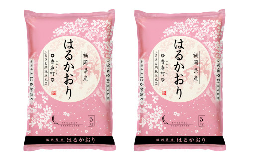 【令和6年産】はるかおり 精米 10kg ／ ふるさと納税限定 ふるさと納税限定品 お米 米 白米 食品 ご飯 飯 九州 福岡県 香春町