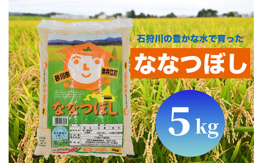 北海道奈井江町 ななつぼし 5kg 2101415 - 北海道奈井江町