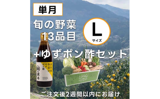 高知の野菜（13品目）＋ゆずポン酢セット ／ 野菜 やさい ゆずポン酢 ゆずぽん酢 柚子ポン酢 柚子ぽん酢 セット 旬野菜 高知県 香美市 冷蔵