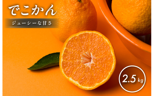 【先行予約】【数量限定】ホリ田ヤ でこかん 2.5kg【K002430】 1954350 - 愛媛県今治市