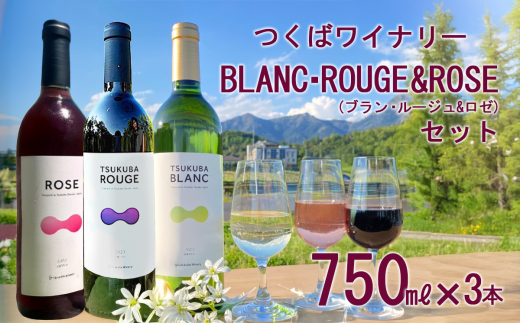 つくばワイナリー TSUKUBA BLANC ・ ROUGE & ROSE セット 【お酒 葡萄 ぶどう ブドウ 茨城県産 つくば市産 ワイナリー】