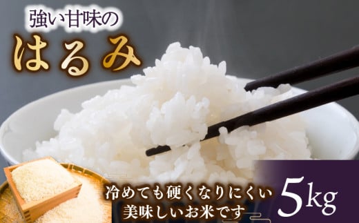 【先行予約】 令和7年 新米 米 はるみ 5kg こめ 甘い ツヤ キヌヒカリ コシヒカリ kome  お米 白米 ご飯 ごはん 弁当 お弁当 おにぎり はくまい 美味い   精米 ブランド米 湘南生まれ 藤沢産  ランキング 最高評価 特A 神奈川ワークショップ 神奈川 湘南 藤沢 2132219 - 神奈川県藤沢市