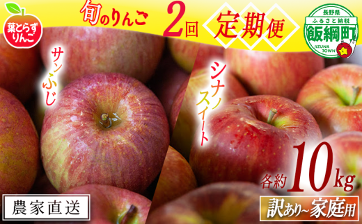 旬のりんご 【 定期便 】 家庭用 〜 訳あり 10kg × 2回 葉とらずりんご フレッシュフルーツミカズキ 2025年10月中旬頃から2025年12月中旬頃までお申込み順に発送予定 令和7年度収穫分 リンゴ アップル シナノスイート サンフジ サンふじ 長野県 飯綱町 [2009]