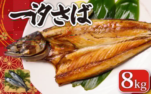 一汐さば 8kg さば 鯖 さぬき塩 塩 塩さば 塩鯖 鯖の開き 無添加 添加物不使用 ノルウェー 厳選 海の幸 大容量 おつまみ お弁当 惣菜 塩焼き おかず 調理用 料理 素材 冷凍 冷凍品 長期保存 保存食 鮮度 旨味 お取り寄せ グルメ 食品 魚 魚貝 魚介 ギフト 贈物 贈り物 プレゼント 海鮮 ふるさと納税鯖 ふるさと納税さば ふるさと納税 千葉県 銚子市 送料無料 エドノフーズ  2072414 - 千葉県銚子市