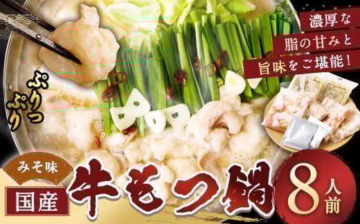 国産牛もつ鍋 8人前 ちゃんぽん・濃縮スープ付（みそ味） もつ ホルモン 鍋 お鍋 セット 冷凍 岡垣町 2071196 - 福岡県岡垣町