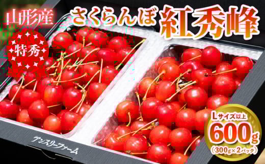 2025年産 さくらんぼ 「紅秀峰」 600g 特秀品 Lサイズ以上 山形産 【令和7年産先行予約】FS24-745