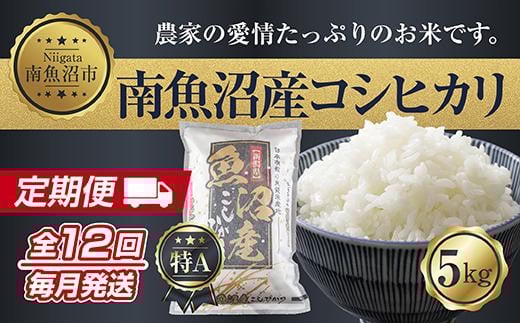 【令和7年産新米】【定期便】新潟県 南魚沼産 コシヒカリ お米 5kg×計12回 精米済み 年間 毎月発送 （お米の美味しい炊き方ガイド付き）【2025年10月中旬より順次発送予定】 449101 - 新潟県南魚沼市