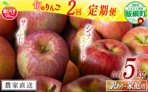 旬のりんご 【 定期便 】 家庭用 〜 訳あり 5kg × 2回 葉とらずりんご フレッシュフルーツミカズキ 沖縄県への配送不可 2025年10月中旬頃から2025年12月中旬頃までお申込み順に発送予定 令和7年度収穫分 リンゴ アップル シナノスイート サンフジ サンふじ 長野県 飯綱町 [2008]