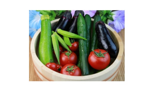 ＜地元で採れた野菜＞源気屋　高原野菜セット【1507579】 1375261 - 長野県木祖村