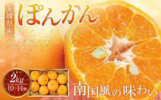 [先行予約] 愛媛県産 ぽんかん 2kg(10〜14個) ポンカン 果物 フルーツ [2026年1月下旬〜2月下旬](876)