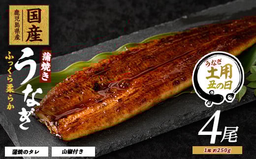 【丑の日に合わせてお届け！】【鹿児島県産】うなぎ蒲焼じっくり焼き約250g×4尾 木目化粧箱入り(大新/038-1108u)【2025年7月9日～7月19日お届け】うなぎ 国産 鹿児島 蒲焼 丑の日 丑 土用丑の日 