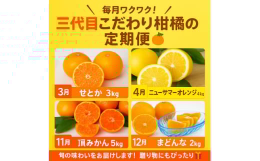 ＜発送月固定定期便＞柑橘＜みかん・まどんな・せとか・ニューサマーオレンジ＞＜H31-46＞全4回【4058612】 1538405 - 愛媛県八幡浜市