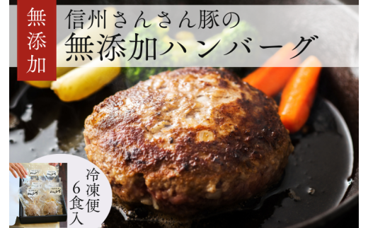 SF04-25C 無添加！さんさん豚ハンバーグセット／(110g×6ヶ入)【化学調味料不使用】//長野県産豚肉 南信州 ポーク バークシャー種 安全 安心 冷凍 贈答 ギフト 398161 - 長野県松川町