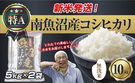 【新米発送】「無洗米」 令和7年産 新潟県 南魚沼産 コシヒカリ お米 5kg×2袋 計10kg 精米済み（お米の美味しい炊き方ガイド付き） お米 こめ 白米 新米 こしひかり 食品 人気 おすすめ 送料無料 魚沼 南魚沼 南魚沼市 新潟県産 新潟県 精米 産直 産地直送 お取り寄せ【2025年10月上旬より順次発送予定】 459647 - 新潟県南魚沼市