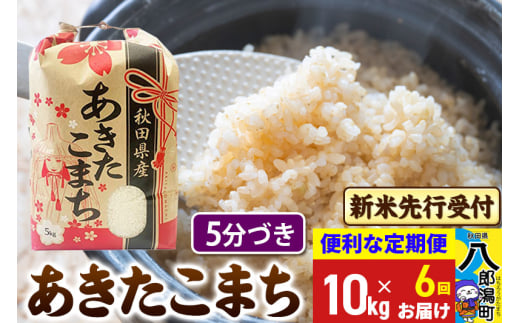 《令和7年産 新米受付》《定期便6ヶ月》あきたこまち 10kg【5分づき】 秋田県産 こまちライン 2085526 - 秋田県八郎潟町