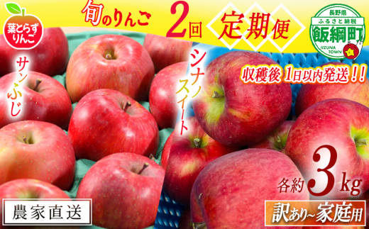 【 定期便 / フレッシュ便 】 旬のりんご 家庭用 〜 訳あり 3kg × 2回 葉とらずりんご フレッシュフルーツミカズキ 沖縄県への配送不可 2025年10月中旬頃から2025年12月中旬頃までお申込み順に発送予定 令和7年度収穫分 リンゴ アップル シナノスイート サンフジ サンふじ 長野県 飯綱町 [2010]