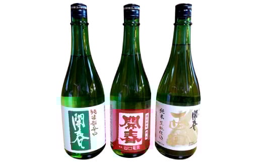 竜馬が醸す石見の地酒「開春」辛口純米酒セット【日本酒 3本 セット 3種類 720ml 開春 純米超辛口 生酛純米 西田 純米 備前雄町 辛口純米酒 辛口 純米酒 飲み比べ 4合瓶 ギフト 父の日】 270631 - 島根県大田市