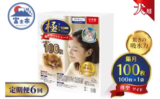 定期便 6回 ペットシーツ 【極】シリーズ 薄型ワイド 100枚 ペット用 犬用 猫用 トイレシーツ 日用品 ペット用品 防災 備蓄 消耗品 ドッグ キャット わんちゃん ねこちゃん 静岡県 富士市 [sf077-140] 2095963 - 静岡県富士市