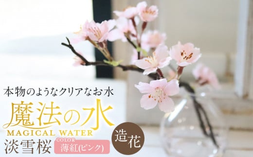 新春　淡雪桜　さくら　魔法の水　マジカルウォーター『薄紅』 2023838 - 愛知県名古屋市