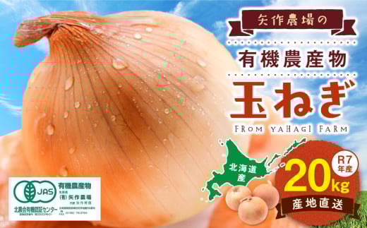 R7年産先行受付 有機農産物 玉ねぎ 20kg (有)矢作農場/014-36224-b01B 玉ねぎ たまねぎ タマネギ 玉葱 大容量 オニオン 甘い 有機栽培 国産 産地直送 カレー ハンバーグ 煮込み 炒め物 北海道 津別町 送料無料 683952 - 北海道津別町