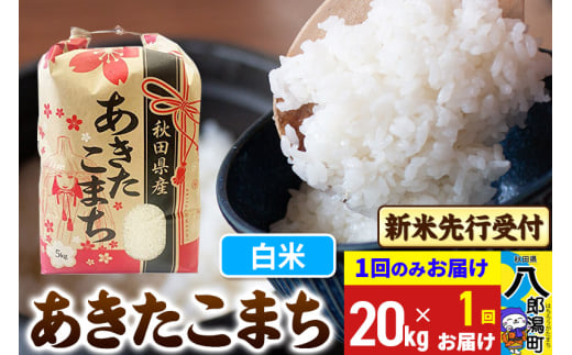 《令和7年産 新米受付》あきたこまち 精米 20kg 秋田県産 こまちライン 2085431 - 秋田県八郎潟町
