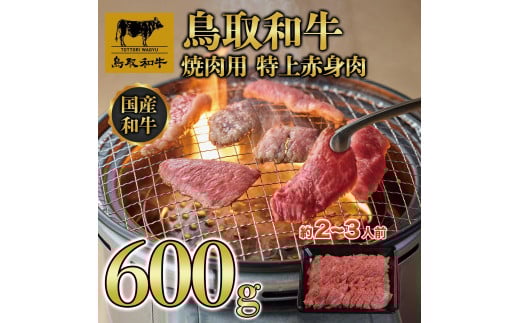 鳥取和牛 焼肉用 特上赤身肉 600g KT020-003 774667 - 鳥取県琴浦町