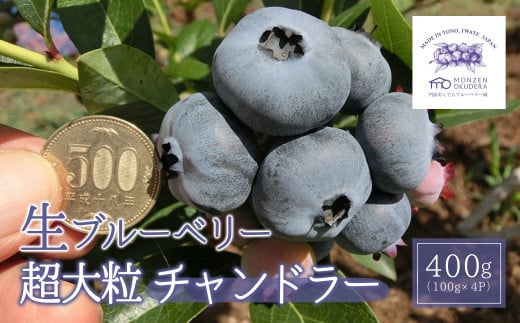 生 ブルーベリー【 夏季 数量 限定 】 超大粒 ！ 完熟 遠野産 「 チャンドラー 」400g（100g×4パック）化粧箱 入 贈答 門前おくでらブルーベリー園 【2025年7月下旬より発送予定】