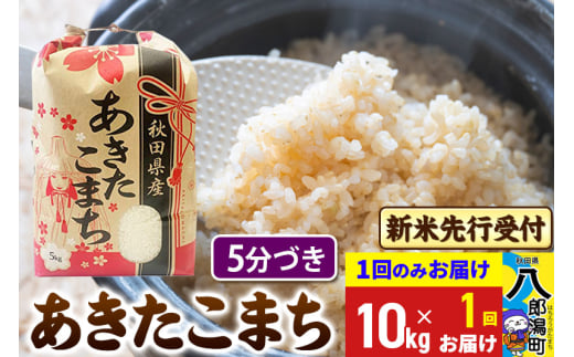 《令和7年産 新米受付》あきたこまち 5分搗き 10kg 秋田県産 こまちライン 2085521 - 秋田県八郎潟町