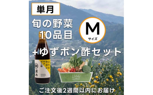 高知の野菜（10品目）＋ゆずポン酢セット ／ 野菜 やさい ゆずポン酢 ゆずぽん酢 柚子ポン酢 柚子ぽん酢 セット 旬野菜 高知県 香美市 冷蔵