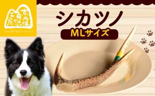 シカツノ MLサイズ 鹿の角 鹿角 おもちゃ ペット おすすめ 国産 いぬ イヌ 犬 わんちゃん ワンちゃん 愛犬 犬のおもちゃ 犬用おもちゃ イヌのおもちゃ ペット用品 デンタルケア しつけ いたずら 甘噛み防止 口臭対策 歯石除去 安心 天然素材 京都 京丹波町 京丹波自然工房 