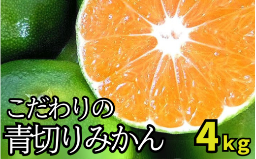 【先行予約】\有機質肥料100%/ こだわりの青切りみかん 約4kg サイズ混合 【2025年9月下旬頃より順次発送】【nuk142B】 764501 - 和歌山県串本町