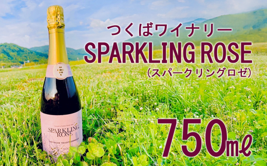 つくばワイナリー SPARKLING ROSE(スパークリングロゼ)  【お酒 葡萄 ぶどう ブドウ 茨城県産 つくば市産 ワイナリー】