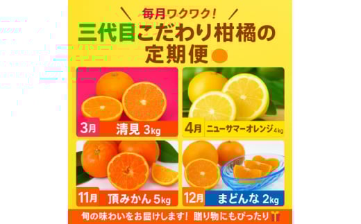 ＜発送月固定定期便＞柑橘＜みかん・まどんな・きよみ・ニューサマーオレンジ＞＜H31-47＞全4回【4058614】 1538406 - 愛媛県八幡浜市